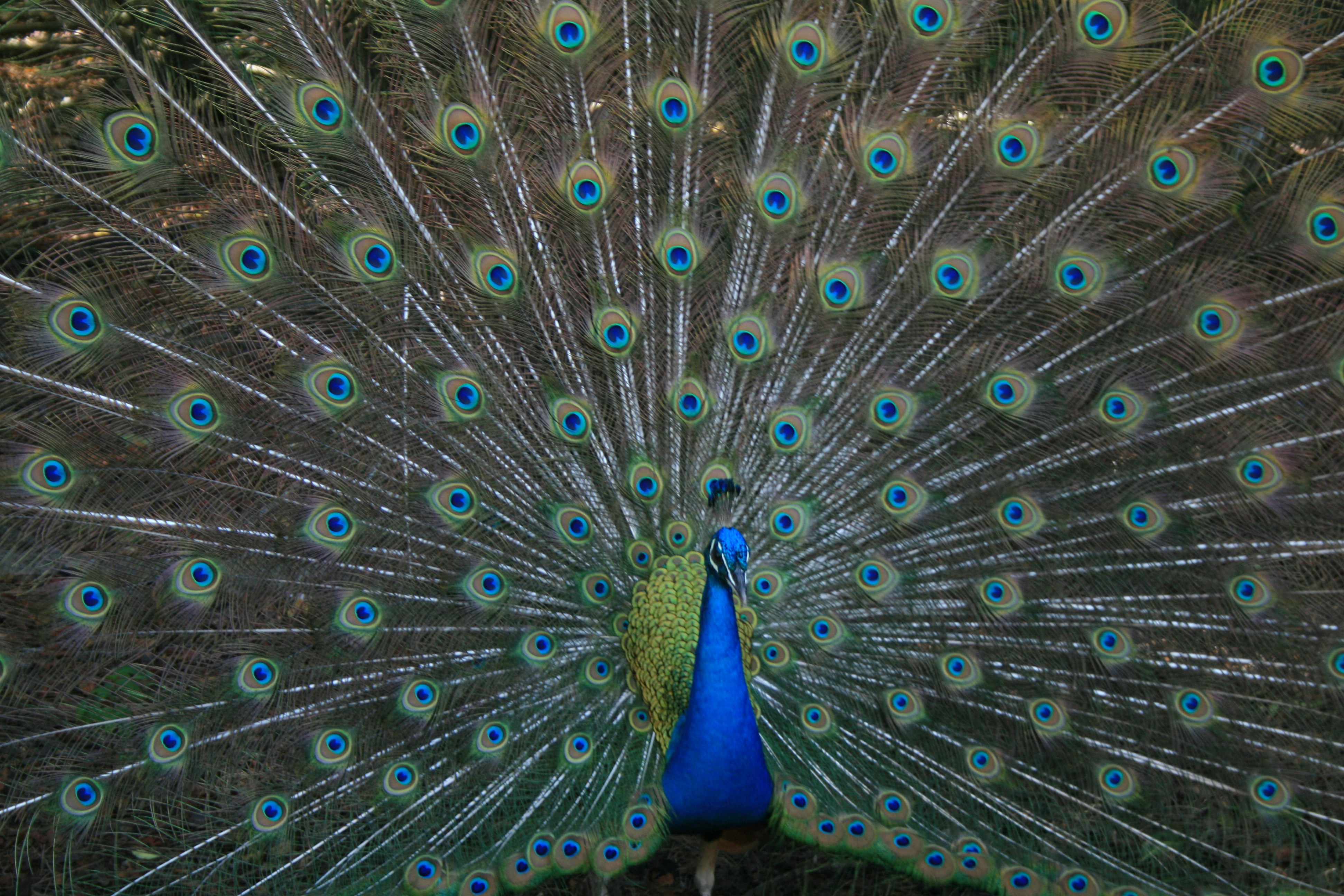 Photo by Sarah Kilian 